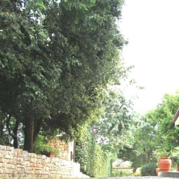 Casa Marisa Villa Vacanza Castellana Grotte Luaran gambar