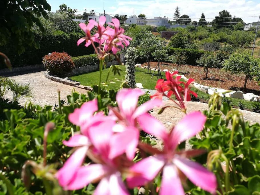 Casa Marisa Villa Vacanza Castellana Grotte Luaran gambar